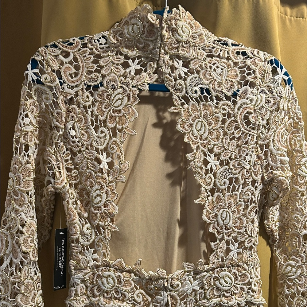 VENUS Lace Long Sleeve Dress in Cream and Gold with Expose back. Nude liner - Picture 8 of 11
